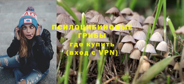 кокс Нея