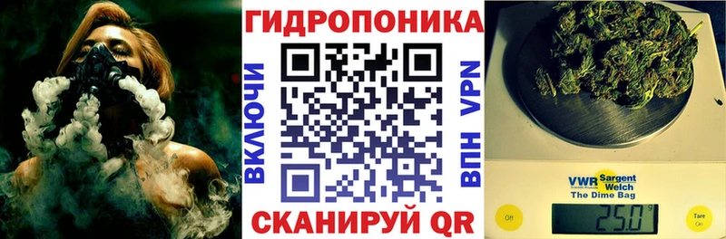 Шишки марихуана ГИДРОПОН Берёзовка
